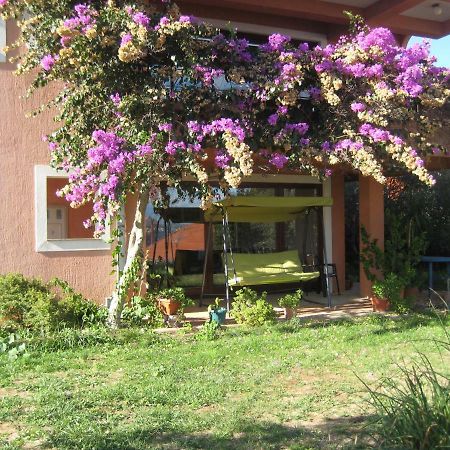 Apartman Lavanda Kali Exteriér fotografie